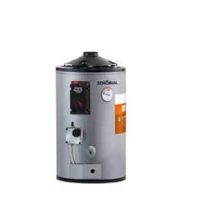 Termotanque Señorial Baseg 30Lts Dual Electrico/Gas Superior/Inferior