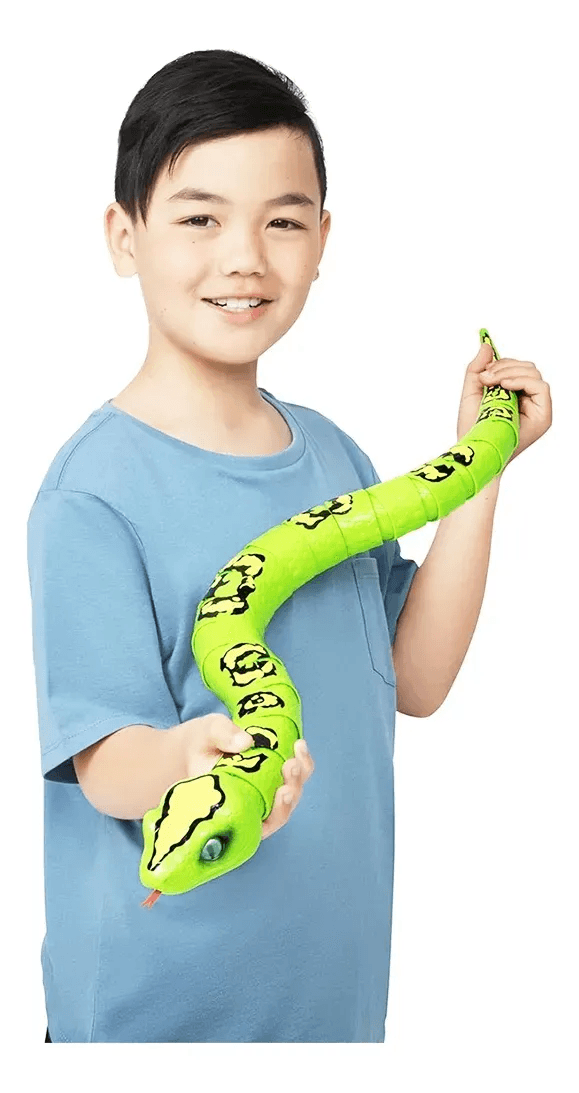 image-082b3751fff64e2ca6728fb1f58bf5ba
