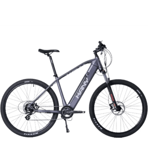BICI ELECTRICA KANY MTB R29 GRAFITO EB-M29