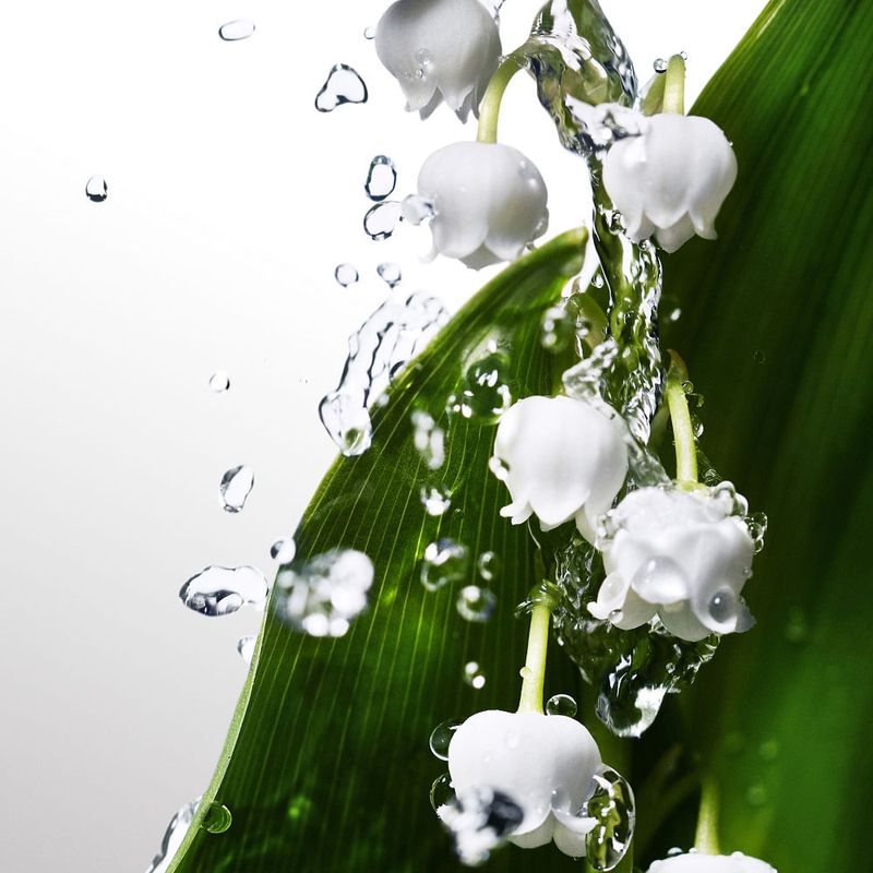 image-9db57c28e6bf40119b697ce3259aa725