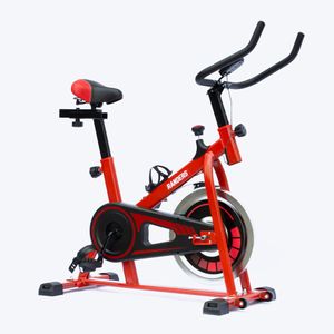 Bicicleta Fija Randers 845 - Indoor bike - Estática