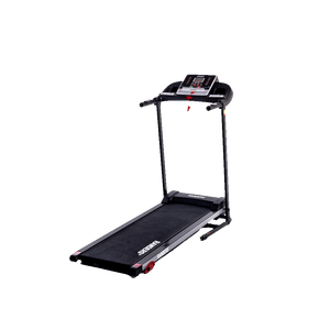Cinta caminadora motorizada Randers 455 - Caminar - Correr -14km/hs