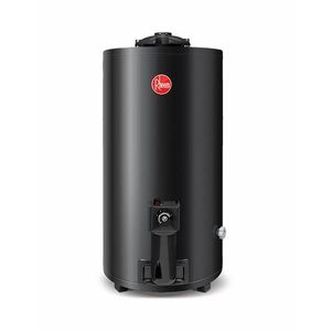TERMOTANQUE RHEEM 80 LTS GN PIE