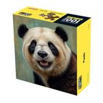 image-d86c3d8bb96d4a9fa8cc6063614bd37e