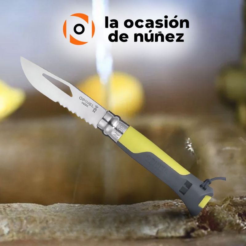 image-ce7771ff271e48fe935adbd53a3f72a0