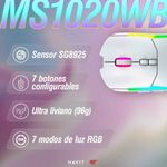 image-b30027da6ab648728b5c47ea9cb3c203