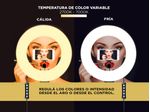 image-c6544310806946b086c7597cd66c4d2c