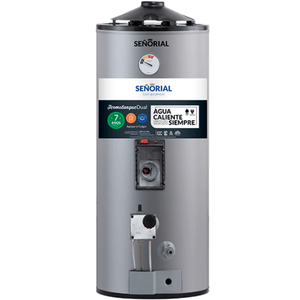 TERMOTANQUE 50L DUAL GAS-ELECTRICO 330076
