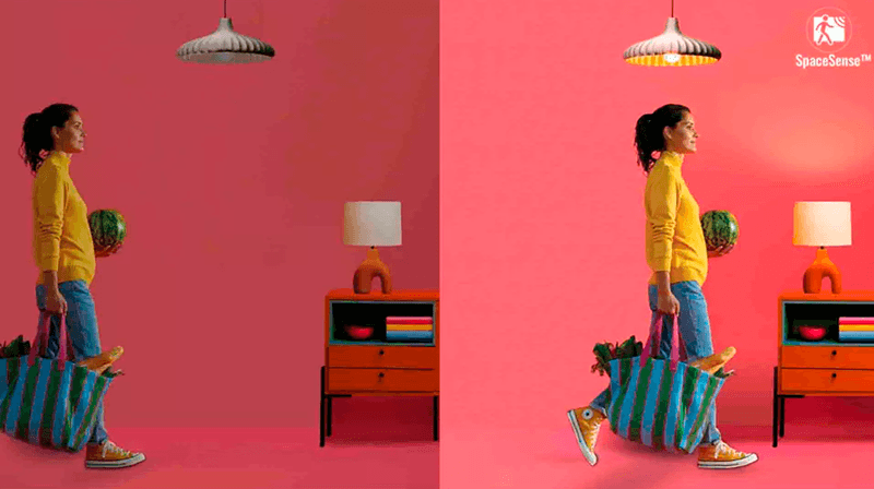 image-cccb368076d849b3aa7cd176a91c5e0b