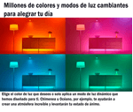 image-a633cba3972947bf8b28f9ca9a93309e