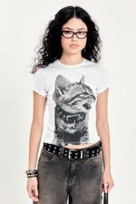 image-2ee8df4659a04a9e8563919cd4e42bbf