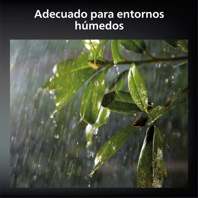 image-ed51814f050f42738b314d1fe99b9993