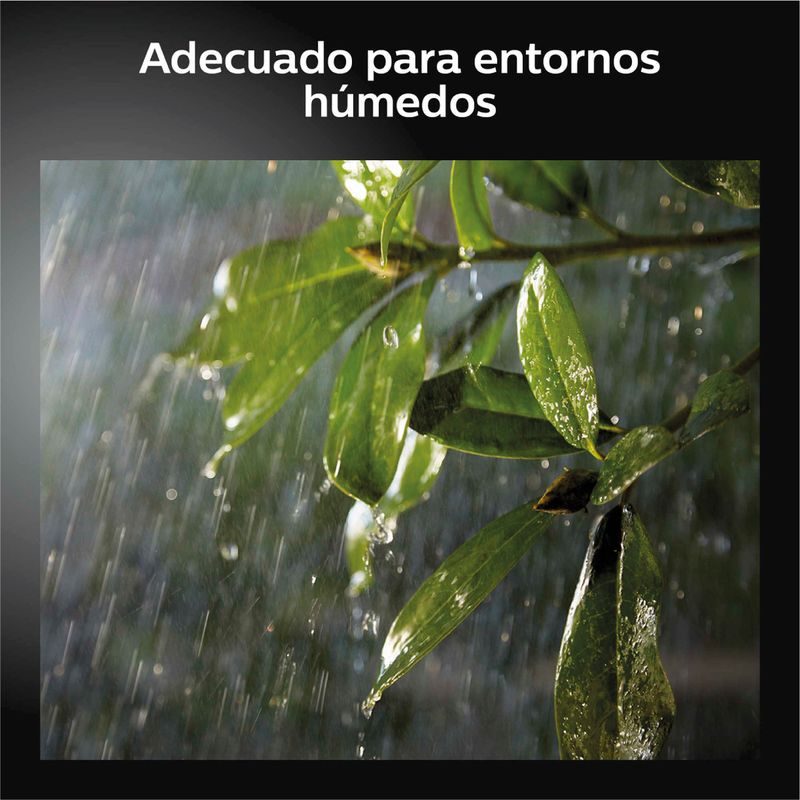 image-66d523793dfe40398b9a896d85e365bf