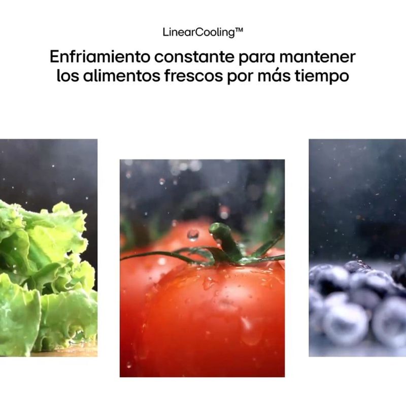 image-84684769e8da4d2d8ede8f4c3d111144