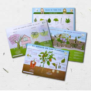 Kit de 4 láminas botánicas y de mariposas (formato A4)