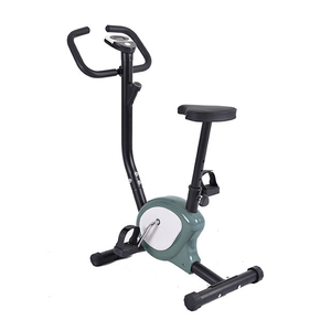 Bicicleta fija Panther BF103