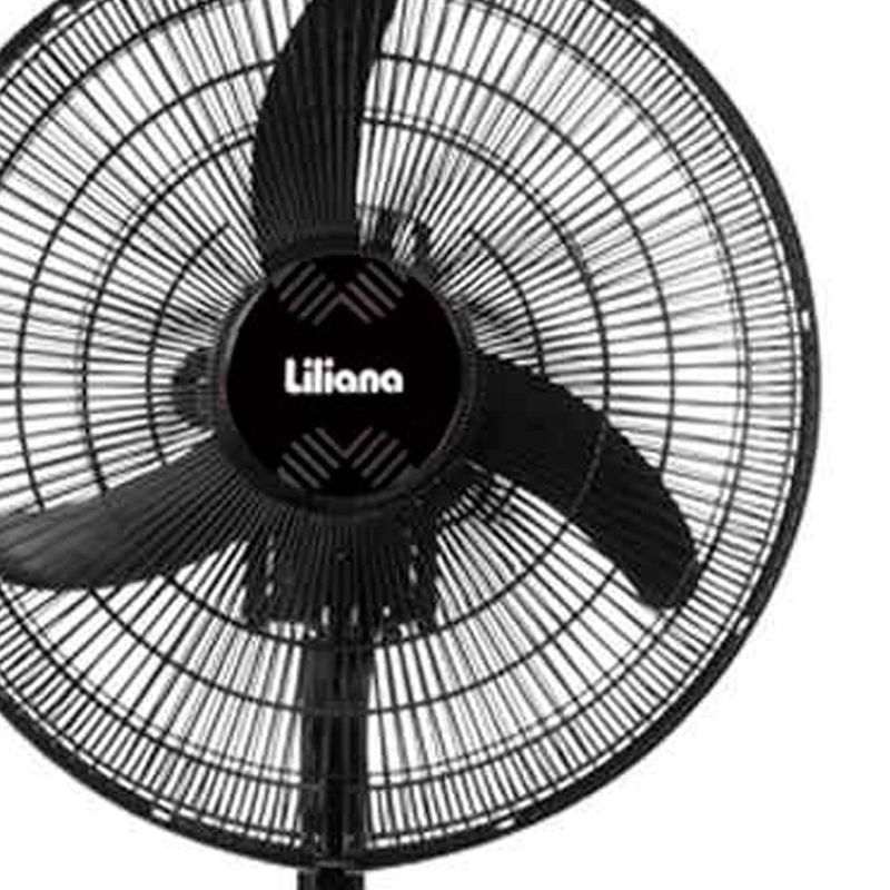 image-214591fecf9d43aa82f0be2ee6bb5e8d