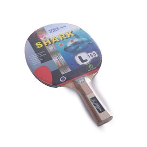 Paleta Giant Dragon Ping Pong - GIANT-90201 - Open Sports