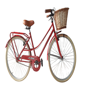 BICICLETA VINTAGE Rod26 CON PORTAEQUIPAJE