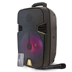 Sistema de Audio Multimedia Serie Dorada SD-13