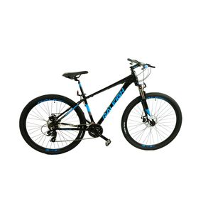 Bicicleta Raleigh Mojave 2.0 / Cuadro de aluminio / Frenos a discos HIDRAULICOS / 21 Vel. / Rodado 29 / Línea 2026.