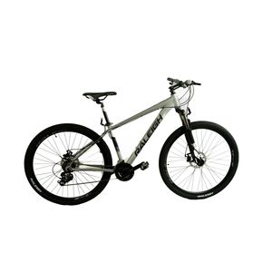 Bicicleta Raleigh Mojave 2.0 / Cuadro de aluminio / Frenos a discos HIDRAULICOS / 21 Vel. / Rodado 29 / Línea 2026.