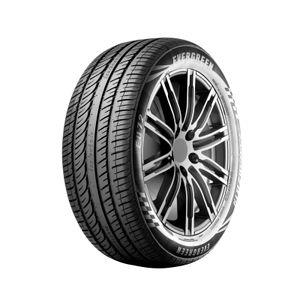 NEUMATICO EVERGREEN 225/45ZR17 94W EU72 XL