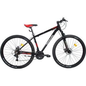 Bicicleta SIAMBRETTA Rodado 29 Mountain Bike 10 PRO