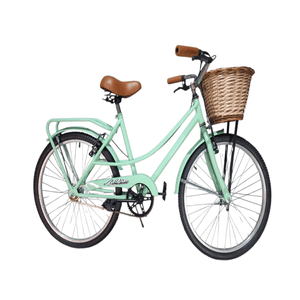 Bicicleta Vintage Rod24 Con Portaequipaje