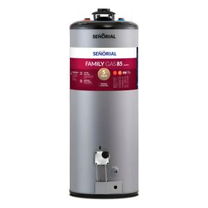 Termotanque Señorial Family 85 Litros Multigas TSZP1-85 Conexion Superior