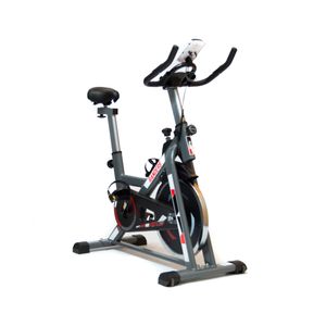 Bicicleta Spinning Inercia Randers