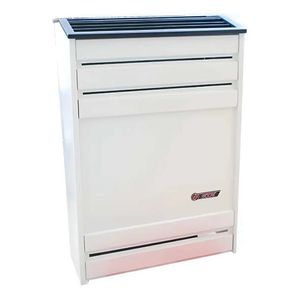 CALEFACTOR CTZ LINEA PESADA 4000 KCAL TIRO BALANCEADO C/ACC