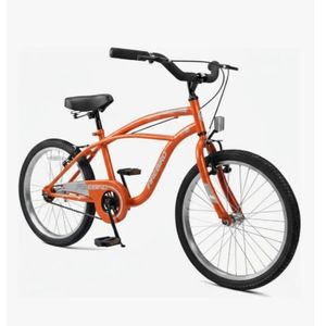 Bicicleta Playera Rodado 20 FireBird Bin19330 Kids