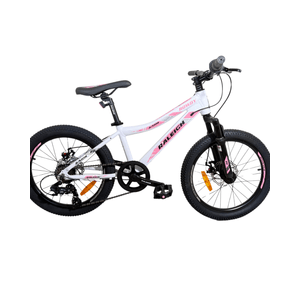 Bicicleta Raleigh Rowdy D _ Cuadro de aluminio / 7 velocidades / Frenos a disco mecanicos / Rodado 20