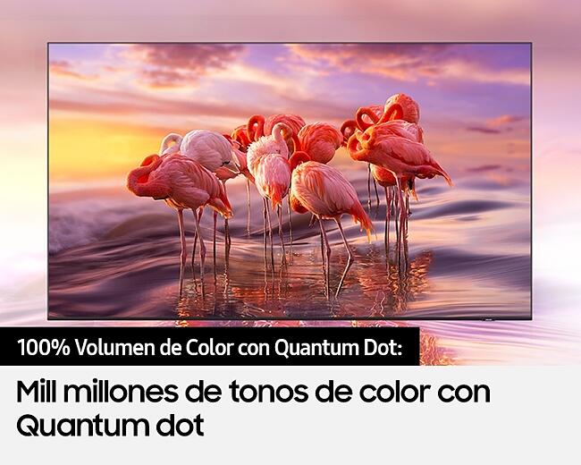 image-a20be4d8124d45889365f0933502efbe