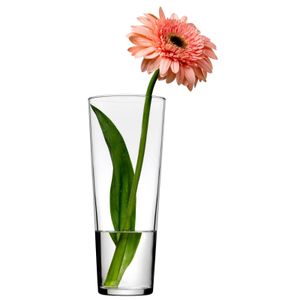 Florero Vidrio 26 cm Botanica Pasabahce