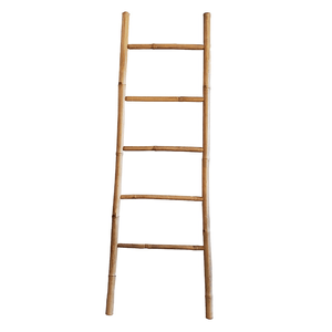 Escalera Caña Colihue