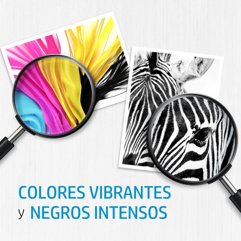 image-b700f730cccc495ab9b8e399812b6ea1
