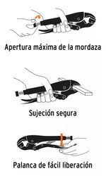 image-bc41095a85014c35bbf38526e0d50ce2