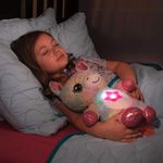 image-ccb5ab50ba2d45efbc9bbd385090ea70