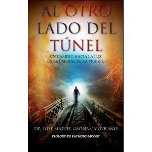 AL OTRO LADO DEL TUNEL - GAONA CARTOLANO, JOSE MIGUEL