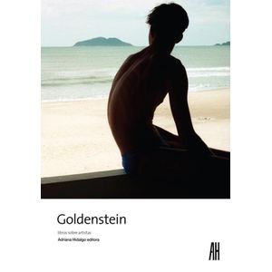 GOLDENSTEIN - LIBROS SOBRE ARTISTAS - HIDALGO, ADRIANA
