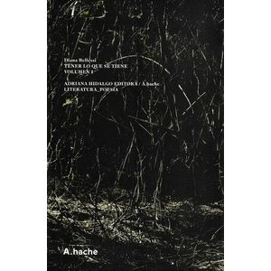 TENER LO QUE SE TIENE VOL. 1 - BELLESI, DIANA