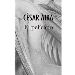 PELICANO, EL