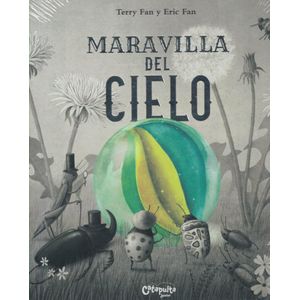 MARAVILLA DEL CIELO (TD) - FAN, TERRY