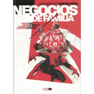 ASOMBROSO SPIDERMAN- NEGOCIOS DE FAMILIA (TD) - WAID, MARK