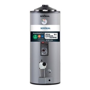 Termotanque Señorial Alta Recuperación Dual 50 Gas Electrico