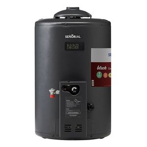 Termotanque Multigas Señorial 50 Litros Black Tsbg-50