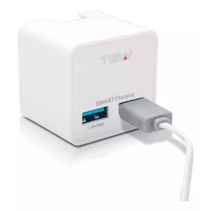 Cargador De Pared Con 2 Puertos Usb TAGWOOD - ICHAR32