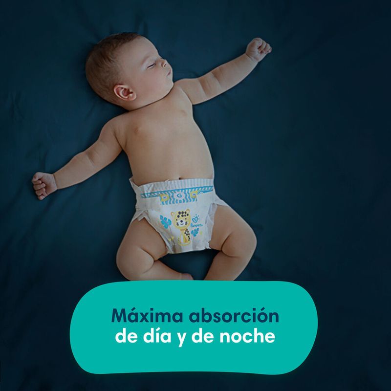 image-ddb3354752704377a62062b1dce61741